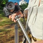 Using Your Monopod Using Your Monopod