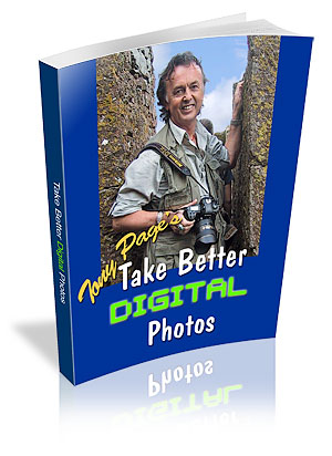 Take Better Digital Photos Today!