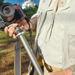 The War Against Blurry Photos: Using A Monopod