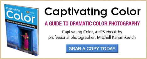 Download Captivating Color now