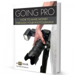 Will “Going Pro” Help You Make Money From Your Photography?